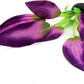 Silk Aquarium Plants for Betta Fish Tank, 2 Pcs 8 Inch Small Silk Aquarium Plant Aquatic Water Grass Decoration, Purple