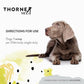 ThorneVet Canine Basic Nutrients Powder – Multivitamin Support for Dogs, 90 Scoops