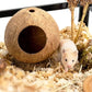 Coconut Hamster Hideout Hamster House Gerbil Cage for Small Animals with a Bundle of Apple Sticks a Carrot (Brown)