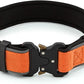 Plutus Pet Tactical Dog Collar, Reflective, Adjustable Heavy Duty Dog Collar, Soft Padded and Comfortable, for Small Medium and Large Dogs (Orange, L)