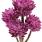 AQUANEAT Terrarium Plant, Fake Reptile Plant for Amphibian Habitat, 6.5 inch Tall Purple