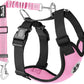 Lukovee Dog Seat Belt for Car, Adjustable Dog Car Harness for Large Medium Small Dogs, Soft Padded & Breathable Mesh Dog Seatbelt with Car Strap and Carabiner(Pink Double Clip,X-Small)