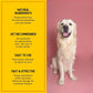 Fresh Breath Oral Strips for Dogs & Cats | Natural Spearmint & Thymol for Easy and Convenient, All-Natural Oral Care (30 Oral Dissolving Strips)