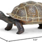 Safari Ltd. Tortoise Baby Figurine - Detailed 5.5" Plastic Model Figure - Fun Educational Play Toy for Boys, Girls & Kids Ages 18M+