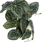 Reptile Plants for Terrarium, Amphibian Habitat Decor Artificial Hanging Plants with Suction Cup - Fake Anthurium Crystallinum