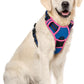 rabbitgoo Dog Harness No Pull with 2 Leash Clips, Adjustable Soft Padded, Reflective Oxford No Choke Pet Vest with Easy Control Handle for Large Dogs, Blue & Hot Pink, XL