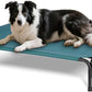 Elevated Dog Bed for Outdoor, Large Raised Dogs Cot for Training, Cooling Pet Beds with Washable Mesh, Indestructible Lifted Platform for Outside Camping, 41 inch Green
