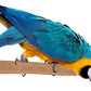 Super Bird Creations SB1154 Sure-Grip Grooming Perch Extra Large, Large/XL Bird Size - Enriches Beak and Foot Health - Ideal for Parrots African Greys Cockatoos - XL Bird Size, 1 1/4" diam x 12" (XL)