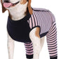 Kuoser Dog Recovery Suit, Anti Licking Dogs Rear Leg Sleeve, Abdominal Dog Surgical Suit with Pants Cover Protect Wounds, Dogs Elbow Protector Soft Pet Surgery Onesie Cone Alternative, Pink L