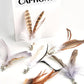 Cat Feather Toys Refills Cat Wand Replacement Feathers 6 PCS Handmade Cat Toy Feather Refills for Cat Wand Attachments Interactive Feather Cat Toy for Indoor Cats
