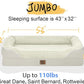 Washable Orthopedic Large Dog Bed - Removable Waterproof Cover with Bolster Machine Washable Extra Large Dogs Beds Foam Support XL Big Pet Beds