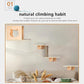 Cat Wall Shelves and Furniture Set with Condos, Perches, Bridge Ladders, Sisal Scratching Posts - Steps and Houses for Cats (C)