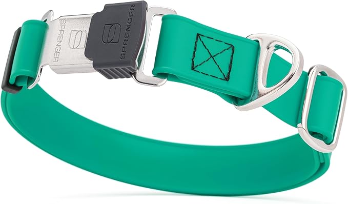 Dogline Biothane Waterproof Dog Collar with Herm Sprenger Black Stainless Steel Quick Release Buckle – Heavy Duty Tactical Durable Collar for Dogs – Comfortable and Safe Pet Collar W 3/4" L12-19 Teal