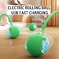 Interactive Cat Toy Ball for Indoor Cats - 3-Speed Smart Rolling Ball with Flashing Lights, USB Rechargeable Automatic Motion Kitten Toys for Bored Adult Cats & Playful Kittens