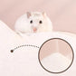 DR.DUDU Hamster Bath Sand, 6.6lb Dust Free Desert Sand or Potty Litter Sand for Hamster Chinchillas Gerbil Syrian Mice Small Animals (White)