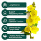Mullein Leaf Tea Bags - Lungs Cleanse and Respiratory Support, Herbal Teas, Caffeine Free, 40 Tea Bags