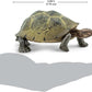 Safari Ltd. Desert Tortoise Figurine - Lifelike 3.25" Wildlife Figure - Educational Toy for Boys, Girls, and Kids Ages 3+