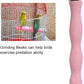Bird Perch, and Beak Frosted Grinding Bar Standing Stick Cage Toy for Parakeet African Grey Cockatoo Budgies Cockatiel(L)