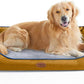 Orthopedic Dog Beds for Medium Dogs, Durable Egg Crate Foam Sofa Dog Bed wit Washable Removable Cover,Waterproof Lining,Pet Bed for Large Dogs (Mustard Yellow, 39.4" L x 31.5" W x 7.4" Th)