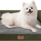 Small Dog Bed Orthopedic Washable Cat Bed Memory Foam Couch Sofa Comfy Pet Beds with Waterproof Removable Cover & Non-Slip Bottom