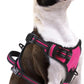 PUPTECK No Pull Dog Harness Small Sized, Adjustable Reflective Dog Harness with Handle Easy Control, Comfortable Soft Padded Pet Vest Harness for Small Dogs, Fuschia S