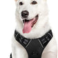 Eagloo Dog Harness for Large Dogs, No Pull Service Vest with Reflective Strips and Control Handle, Adjustable and Comfortable for Walking, No Choke Pet Harness with 2 Metal Rings, Black, XL