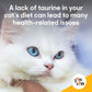 FELO Taurine - Taurine Supplement for Cats, Taurine for Cats, Taurine Powder for Cat - 16 Oz, Powder (Thomas Pet Earlier)