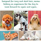 Pet Silicone Shampoo Brush for Long & Short Hair Medium Large Pets Dogs Cats,Shower Wash Curry Brush,Dog hair Products Accessories Dog Back Massage for Long & Short Hair Small Large Pets Dogs(Green)