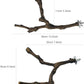 Allazone 4-Piece Bird Perch - Natural Grapevine Stick Swing Chewing Toys for Parrot Cages, Cockatiels, Parakeets, Finches