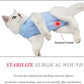 Cat Recovery Suit for Abdominal Wounds or Skin Diseases, Cat Onesie for Cats After Surgery Female Kitten Recovery Suit, Breathable E-Collar Alternative for Cats After Spay Anti Licking Wounds