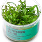 Ultum Nature Systems Cryptocoryne Willisii Tissue Culture Live Plant for Aquarium, Aquascape, Freshwater Fish Tanks - 100% Snail Free in Vitro