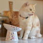 Necoichi Extra Wide Raised Cat Food Bowl, Elevated Cat Bowls to Prevent Neck & Whisker Fatigue, Dishwasher and Microwave Safe, No.1 Seller in Japan! (Sakura Limited Edition, Extra Wide Tilted)