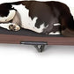 K&H Pet Products Outdoor Elevated Dog Cot, Breathable Cooling Elevated Cot Hammock Pet Bed for XL Dogs, Washable Mesh Cover, Raised Metal Frame, Collapsible, Portable - Jumbo 56 X 38in Chocolate