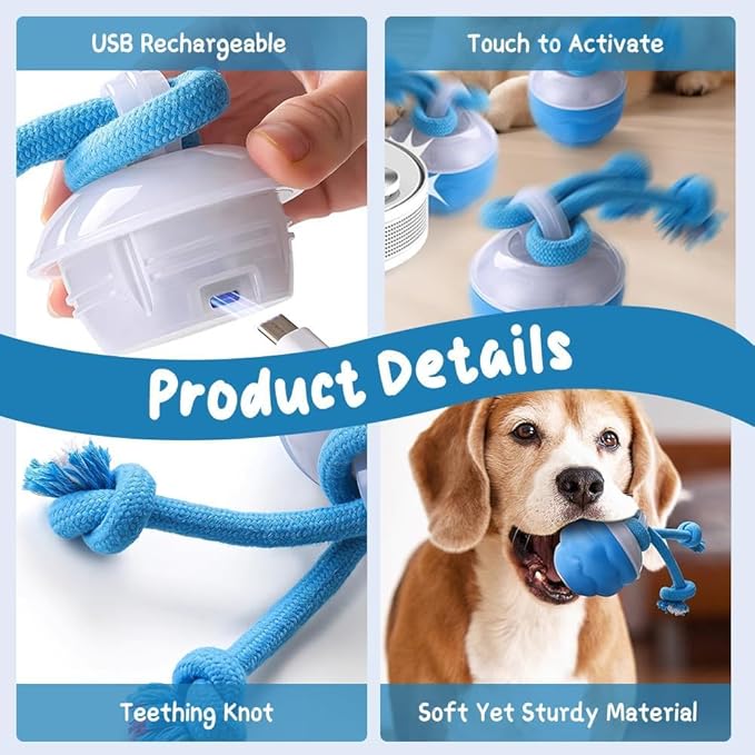 2026 New Interactive Pet Toy Ball, Smart Interactive Ball for Cats & Dogs, Electric Rolling Pet Toy Ball, Rechargeable Interactive Cat Toys for Bored Indoor Cats Kittens to Keep Busy (Orange)