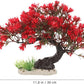 BESTOYARD Fish Tank Decor Artificial Plastic Bonsai Tree, Red Aquarium Ornament for Fish Tanks, 11.81 X 9.05 X 3.93 Inches