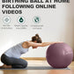 Trideer Yoga Ball – Anti-Burst Exercise Ball for Pregnancy, Office, Birthing, Stretching & Core Workout – Home Gym & Therapy