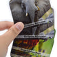Menique Wild Animals Memory Matching Game – Spanish Edition – 80 Cards (40 Pairs) with Real Photos – Educational Game in Spanish for Kids and Adults – Includes Booklet