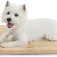 Made4Pets Dog Crate Pad Bed for Small Dogs, Washable & Reversible, Anti-Slip Kennel Mat for Cozy Sleeping, Soft Fluffy Dog Bed for Indoor & Outdoor Use, 24"x18", Khaki