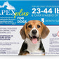 Apex Plus Flea and Tick Prevention for Dogs | Medium (23-44 lbs) | 3-Month Supply | Dog Flea and Tick Treatment | 24-Hour Activation, Waterproof, 30-Day Protection