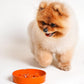 LE TAUCI Ceramic Slow Feeder Dog Bowls Small Breed, 0.6 Cups Dog Food Dish for Fast Eaters, Puzzle Bowl for Small Dogs and Cats,Sun Orange