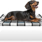 Elevated Outdoor Raised Dog Bed Outdoor Dogs Bed Lifted Pet Bed Dog Cot for Pet Taste Life, Start with A Pet Bed 20'' x 20'' x 6.5''