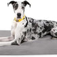 K9 Ballistics Tough Ripstop Orthopedic Dog Crate Bed - Durable Pad with Washable Cover, for Wire Crates, Tie-Downs Included, Size: XX-Large 53"x36", Light Gray Velvet