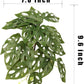 Reptile Plants for Terrarium, Amphibian Habitat Decor Artificial Hanging Plants with Suction Cup - Fake Swiss Cheese Plants Monstera Adansonii