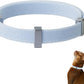 Safety Cat Collar Pro - U.S. IDA Gold Awarding Design, Elastic Quick Release Cat Collar with Buckle Non Breakaway - Lightweight for Kitten All Small Large Cats (Sierra Blue, S 5.9-11.8")