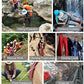 X XBEN Outdoor Climbing Rope 10M(32ft) 20M(64ft) 30M(96ft) 50M(160ft) 70M(230ft) 152M(500FT) 352M(1000FT) Static Rock Climbing Rope for Escape Rope Ice Climbing Equipment Fire Rescue Parachute