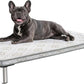 FXW TitanNest Chew-Proof Elevated Dog Bed, Raised Cot for Indoor/Outdoor/Camping Use, Durable & Washable Padded Pet Bed with Exclusive Reuseable Cover for Small Dogs, 36.0" L x 24.0" W x 4.5" H, Gray