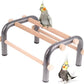 Small Bird Training Perch Table Stand for Parakeet Budgies Cockatiel Conure, Rustproof Durable Heavy Duty Metal Frame with 4 Wooden Bars for Bird to Play Climb and Exercise Toy