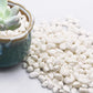 TOYPOPOR Mini White Rocks Stone Decorative Pebbles Vase Fillers Succulents Cactus Bonsai DIY Plant Rock Garden Outdoor Indoor Gravel for Aquarium, Terrarium, Fairy Gardening, Top Dressing 6lbs