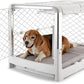 DIGGS Revol Collapsible Dog Crate with Wheels - Premium Portable Dog Crate - Safe, Stylish, and Convenient Indoor Kennel (Ash, Medium)