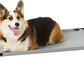 Amazon Basics Breathable Cooling Elevated Dog Bed with Durable Metal Frame, Medium, 43 x 26 x 7.5 Inch, Grey